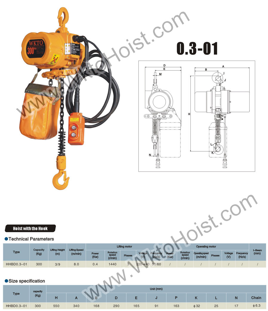Electric Chain Hoist 0.3T