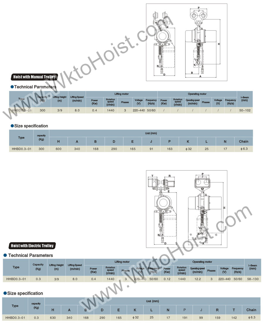 Electric Chain Hoist 0.3T