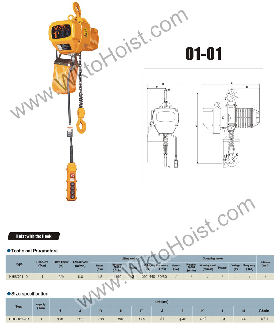 Electric Chain Hoist 1T