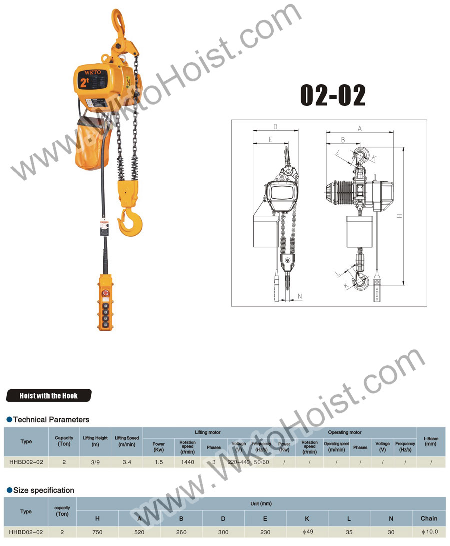 Electric Chain Hoist 2T